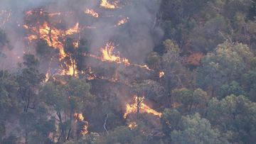 Kings Park bushfire in Perth