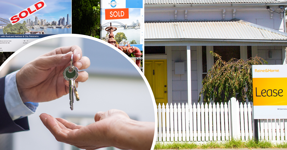 Chalmers takes a razor blade to negative gearing and CGT discount