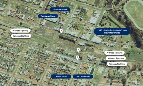 There were a number of sightings of a yellow in the area around the time Lisa went missing.