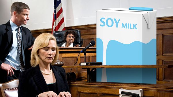 Soy milk