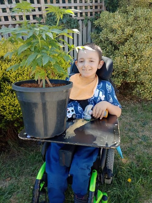 Shelby was having up to 60 seizures a day before being given CBD oil as a treatment.