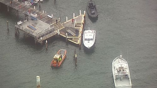A man has been rescued after falling from the Manly ferry. 