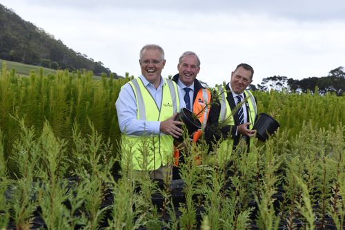 Scott Morrison pictured during today's announcement in Tasmania.