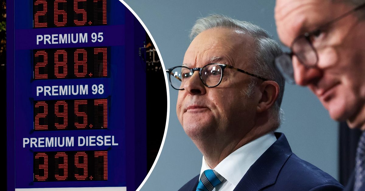 Voluntary rationing, WFH but no 'COVID-style' measures: Inside fuel talks