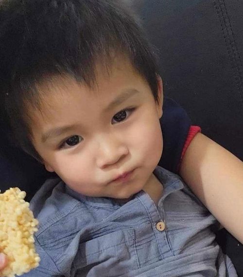 Three-year-old Ethan Nguyen died in hospital after a hit and run in Sunshine North.