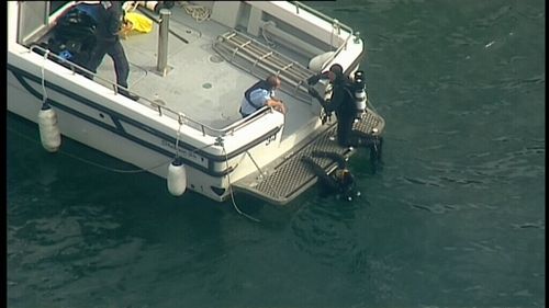 Divers are searching for the plane which is believed to be submerged.