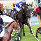 European raider Vauban is the red-hot favourite to win the 2023 Melbourne Cup, but there&#x27;s 23 other horses vying to roll him at Flemington on the first Tuesday in November.