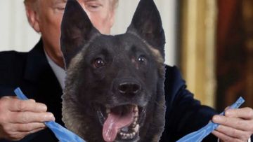 Donald Trump bestows the Medal of Honor on a dog in this photoshopped image.