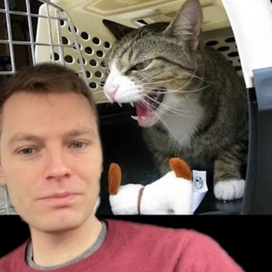 Ben the vet warned pet owners not to shot at their cats if they get angry during a check up