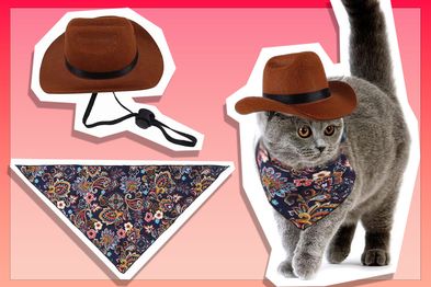 9PR: Aoozleny Pet Cowboy Hat and Bandana