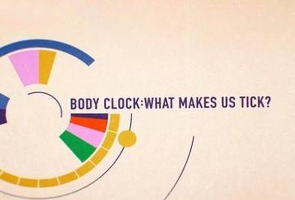 Body Clock - What Makes Us Tick?