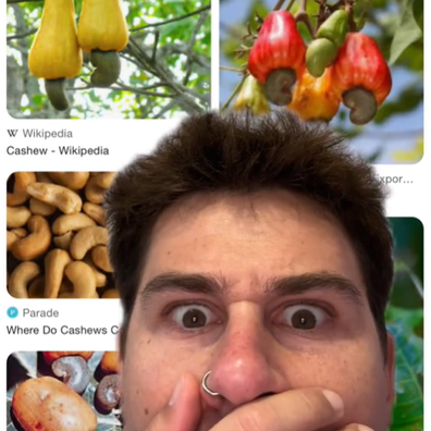 TikTok user Jackson Jansen learns how cashews are grown. 