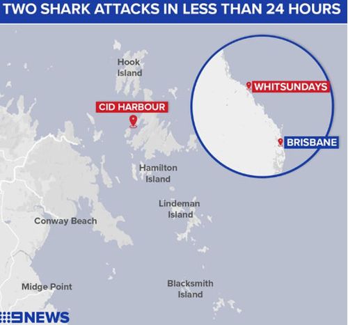 Two shark attacks have happened in the same area, leading to the cull.