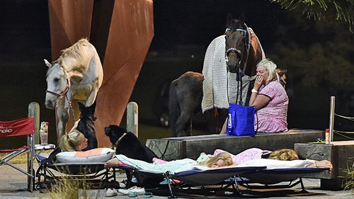 A woman tends to horses as children sleep on fold-out beds in the main street of Lorne south of in Melbourne on Christmas Day. (AAP)