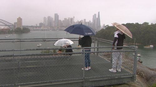 Sydney rain 
