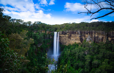 Fitzroy Falls, NSW