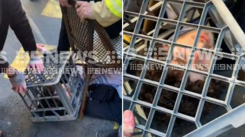 Members of the public, including a firefighter and tradies, were filmed holding the suspect down outside Hotel CBD with chairs. They used a milk crate to pin down his head.