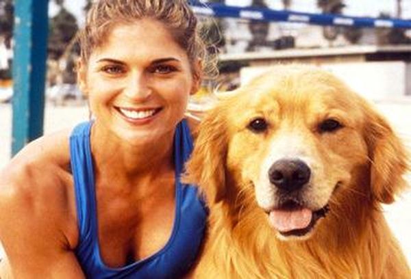 Air Bud: Spikes Back
