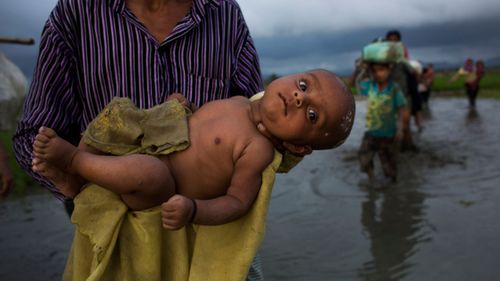 A Rohingya ethnic minority fleeing an outbreak of violent attacks in Myanmar carries an infant past rice fields after crossing into Bangladesh.