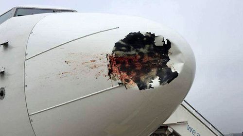 Severely damaged Egyptian plane lands in London after colliding with a flock of birds