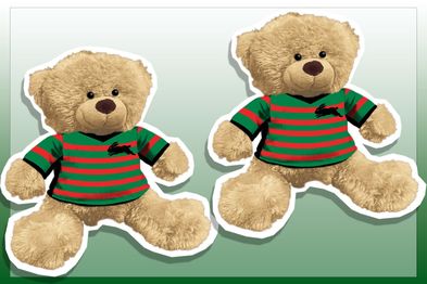 9PR: South Sydney Rabbitohs NRL Plush Teddy Bear with Team Jersey
