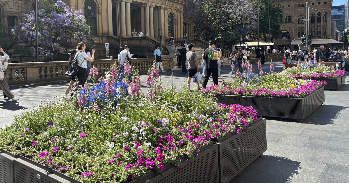 'Ridiculously expensive': Council splashes $20m on planter boxes