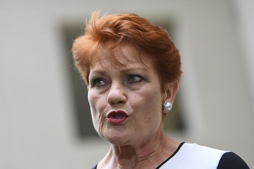 The One Nation leader is calling for the government to slash our immigration intake after a refugee couple were accused of running an ice-dealing ring. (AAP)