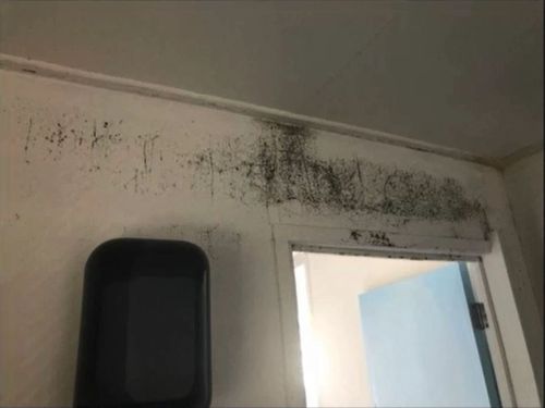 She said at one point the premises was "full of mould".
