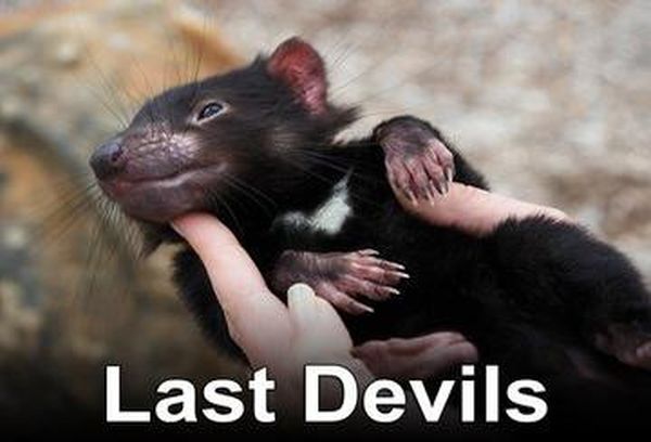 Last Devils