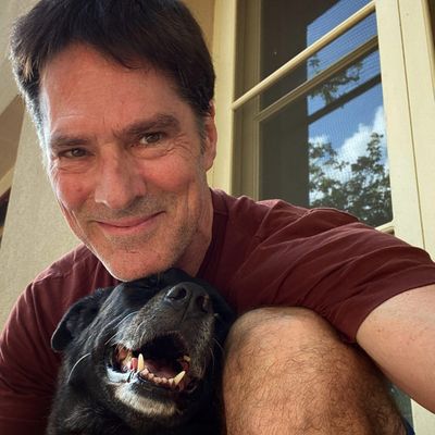Thomas Gibson