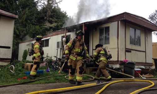 No humans were home at the time of the blaze.  (Lacey Fire Department/Twitter)