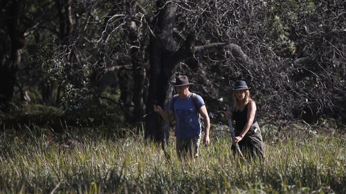 Volunteers search along the Tyagarah Nature Reserve for missing Belgian backpacker Theo Hayez