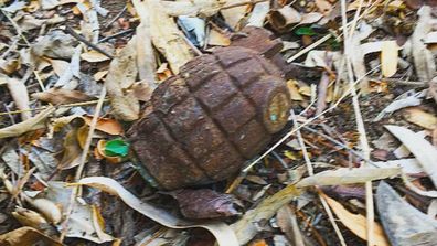 John Hawkes Queensland tree-lopper grenade find