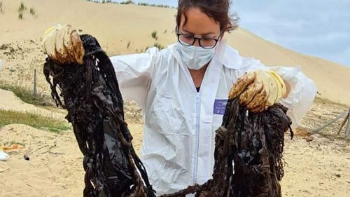 Plastic pulled from the stomach of a dead whale on a French beach.