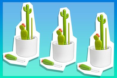 9PR: Boon Cacti Bottle Cleaning Brush Set