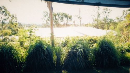 The roof in questions reflects sunlight onto the neighbours' property.