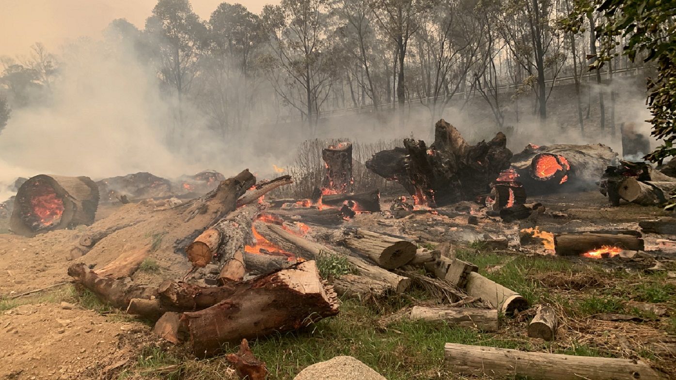 The remains of Mogo Wildlife Park embers