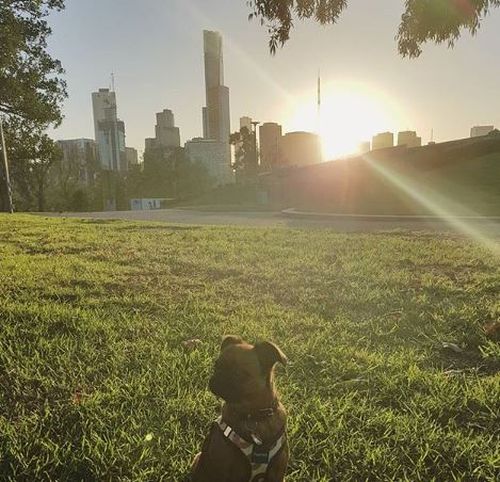 It's a sunny but cool day Melbourne today. Picture: Instagram
