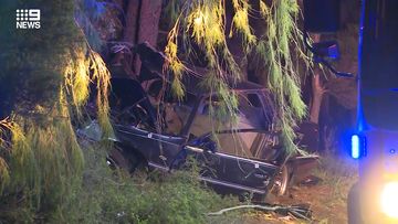 Crashes News Headlines 9news