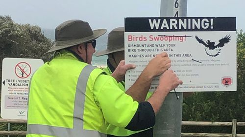 Council workers install more magpie warning signs.