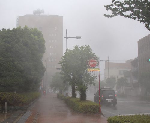 Heavy rain and strong winds are seen near Tokushima Prefectural Government building in Tokushima.