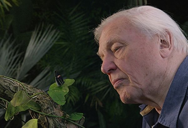 David Attenborough's Micro Monsters