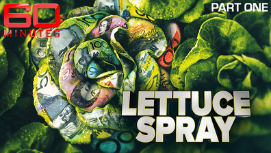 Lettuce Spray: Part one