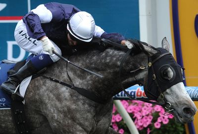 Nicholas Hall takes Fawner to the line to win the Caulfield Stakes