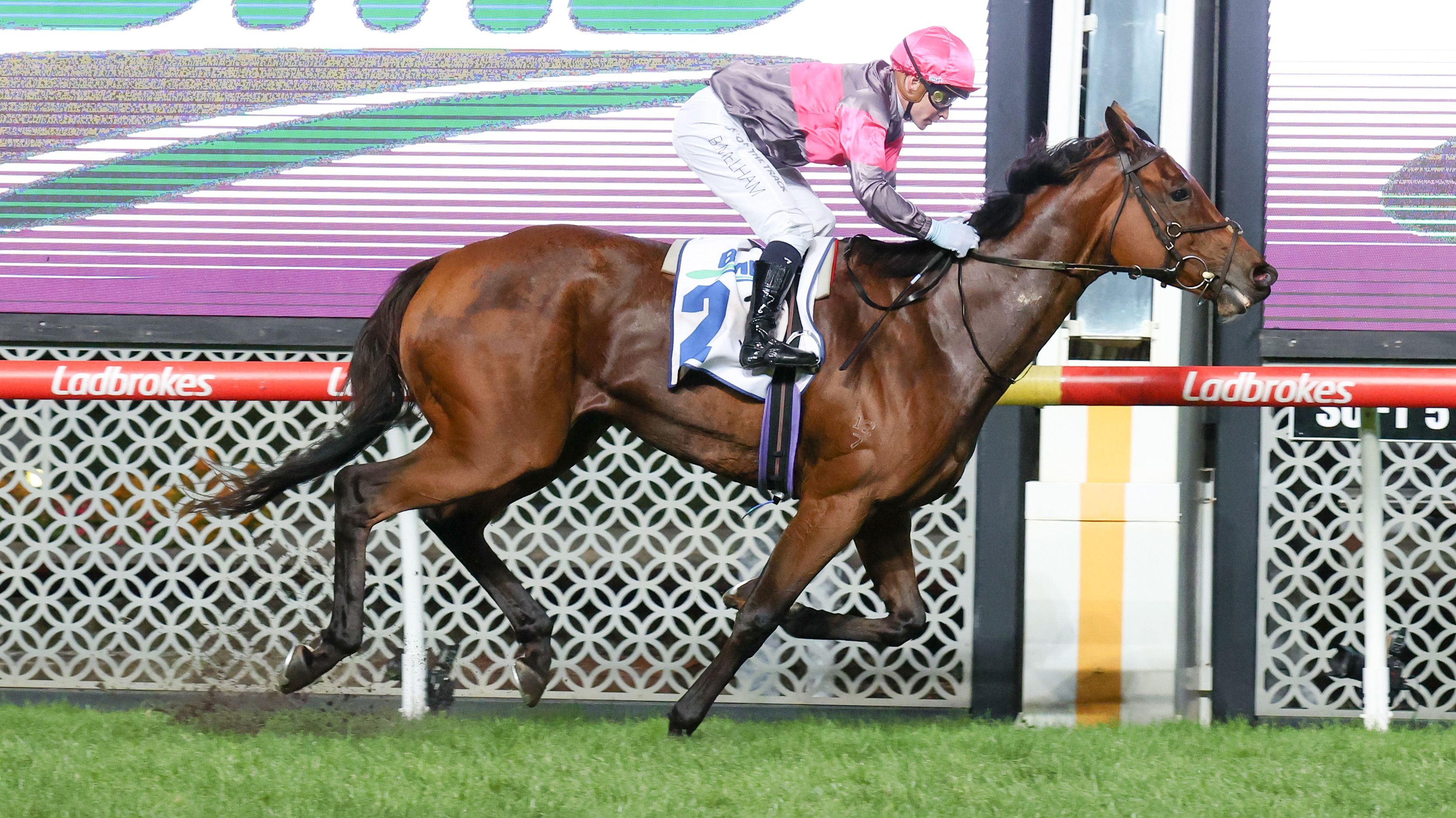 Sirileo Miss ridden by Ben Melham at Moonee Ponds.