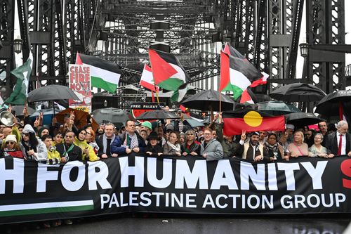 Pro-Palestine protesters march across the Sydney Harbour Bridge to bring attention to the ongoing Israel bombing and aid restrictions to Gaza. 3 August 2025 Photo: Janie Barrett
