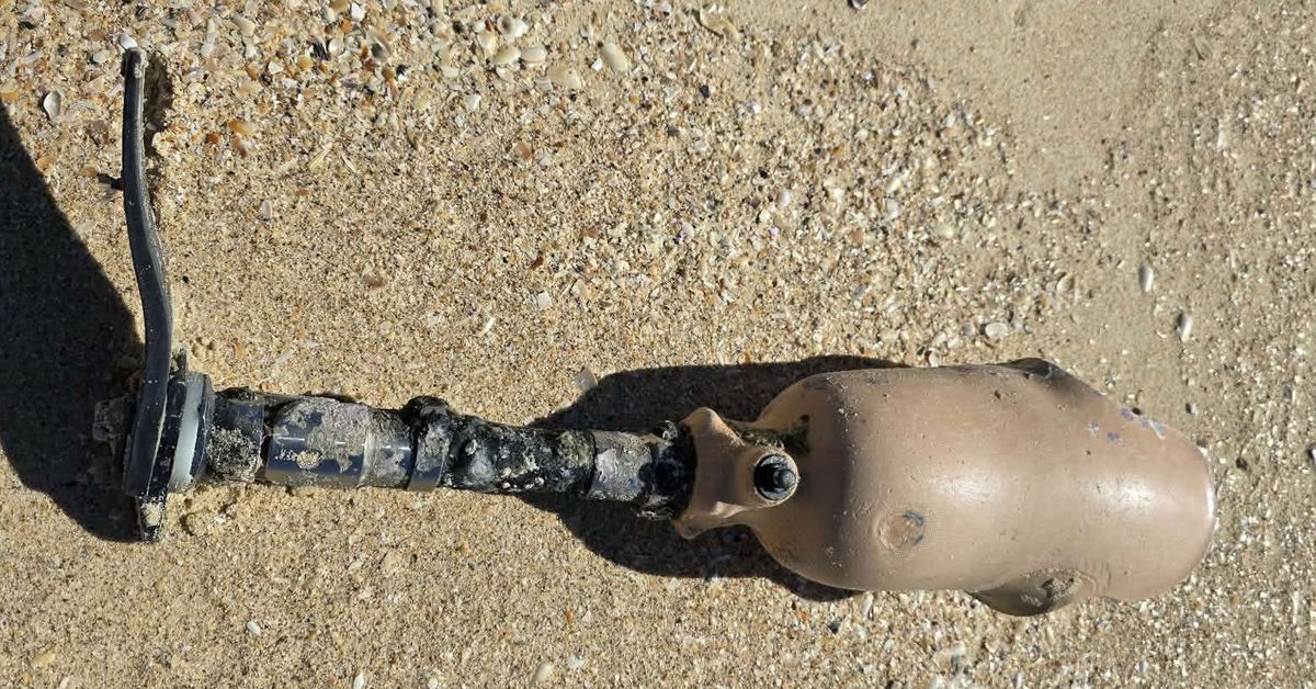 Prosthetic leg washed up at popular fishing spot, police investigating