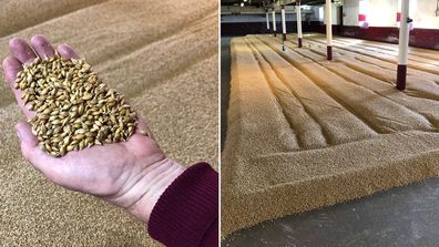 On the tour you will learn how whisky is made, including how barley is malted. 