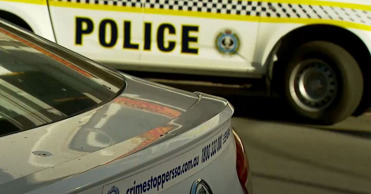Operation Storm sees 78 convicted DV offenders arrested in SA crackdown