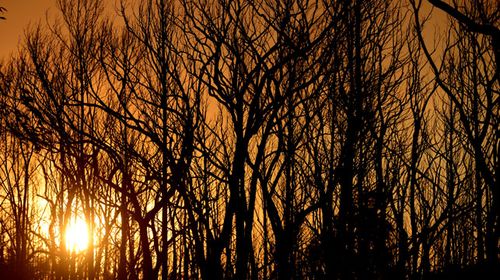 Spring heat raises Vic bushfire risk